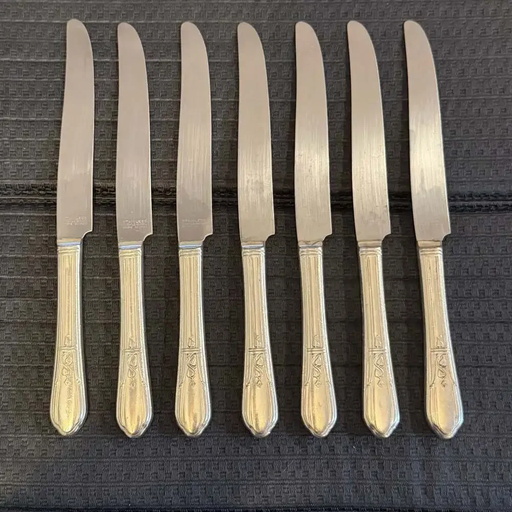 Simeon L & George H Rogers Company Stainless Dinner Knives Set of 7